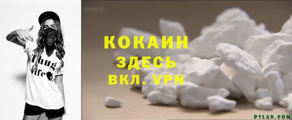 ГАЛЛЮЦИНОГЕННЫЕ ГРИБЫ Абаза