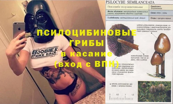 спиды Абдулино