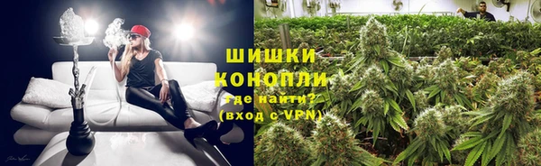 ГАЛЛЮЦИНОГЕННЫЕ ГРИБЫ Абаза