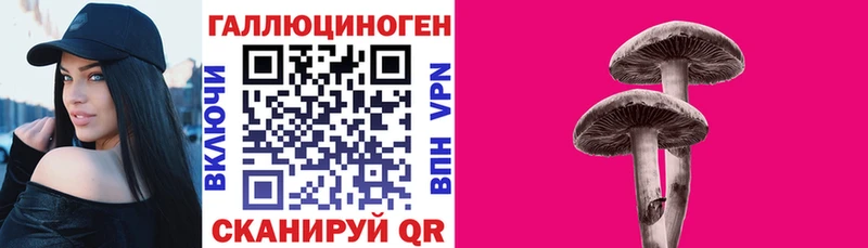 где купить наркоту  Туапсе  Галлюциногенные грибы Psilocybine cubensis 