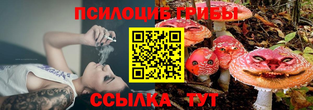 Псилоцибиновые грибы мицелий Туапсе
